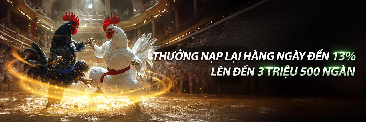 Đá gà trực tuyến tại wim55 win