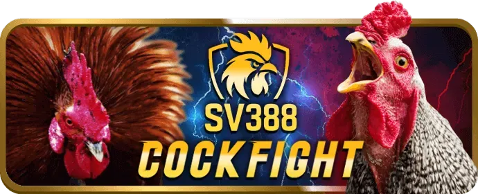 Tính năng độc đáo của wim55 win
